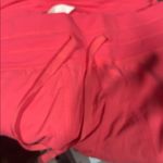 Lululemon Bright Pink Joggers Photo 3