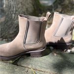 Rocket Dog  Taupe Chelsea Boots Photo 1