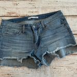 Klique B  Denim Shorts Photo 0