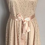 Tahari ASL Embroidery Lace Flare Dress Pink Size 10 Photo 0