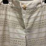 Max Mara  Weekend Womens Lace Embroidered Pants Size 4 Beige Fully Lined Photo 4