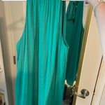 Naked Zebra Dress Photo 1