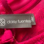 Daisy Fuentes  lace push up bra Photo 3