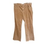 Mango NWOT MNG Wide-leg High Rise  corduroy jeans SZ-16 Photo 2