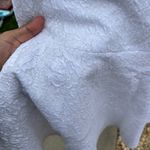 Rebecca Taylor  White A-Line Midi Dress for Weddings Photo 1