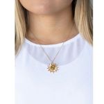 Paparazzi Formal Florals Gold Necklace (289) Photo 0