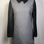 Gloria Coelho wool winter dress with pockets and back zipper size M long sleeve Black Size M Photo 1