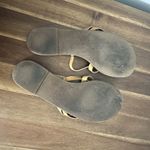 Tory Burch  Patos Flat Strappy Sandal Brown Size 7 Photo 2