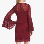 White House | Black Market NEW WHBM Drama Sleeve Lace Shift Dress in Dark Rouge Red Photo 1