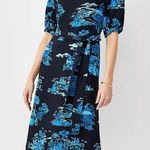 Ann Taylor  Floral Toile Square Neck Shift Dress, Night Sky, Women's, Siz… Photo 0