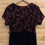 Another Thyme Size Large Maxi Velvet Dress Sparkly Red Floral Whimsigoth Black Photo 6