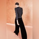 Ulla Johnson Rhett Wide Leg Velvet Trouser Noir Black Size 4 Pleated Pants Work Photo 3