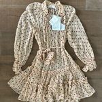 Zimmermann  ladybeetle swing sheer mini dress new nwt polka dot ruffle Photo 2