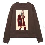 ZARA Sweater Women's Brown Small Cropped Fashion Velvet Print Gen Z Crew Neck Photo 0