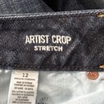 American Eagle Artist Crop Jeans Womens 12‎ Blue Stretch Mid Rise Casual Photo 6
