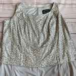 Alex Evenings Sequins Silver Wedding Sheath Dress Plus Size 24W Photo 5