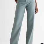 EXPRESS Blue Faux Leather Pants Photo 2