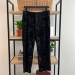 ZARA NWOT Mid-Rise Velvet Velour Burnout Capri Dress Pant Trouser, M Photo 1
