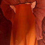 Moodie Baby Doll Colorblock Balloon Sleeves Photo 5