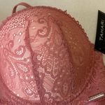 Tahari  Lace Underwire Bra - Soft Pink women embroidered. New with tags. Photo 9