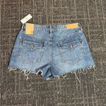 PacSun  Festival High Rise Shorts Size 30 Photo 5