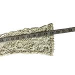 Forgotten Grace Women's Cream Knitted Cardigan Photo 4