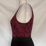 Jealous Tomato Lace Skater Dress Sz M Holiday Gothic Mesh Dark Fairy Cocktail Photo 11