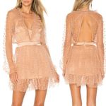 For Love & Lemons All That Glitters Star Sheer Tulle Mini Dress M Tan Cream Photo 2
