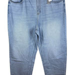 Lane Bryant NWT  Size 14 Loose Straight Signature Mid Rise‎ Denim Jean Grunge Photo 0