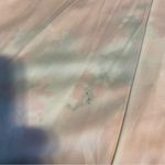 Chetta B CORAL, WHITE AND GRAY FLORAL PRINT CHIFFON MAXI DRESS (12) Photo 8