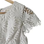 Shoshanna  Floral Lace‎ Sheath Cocktail Dress Short Sleeves Black and White, Sz 6 Photo 3