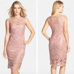 Tadashi Shoji  Floral Lace Illusion Sequin Knee Length Dress, Blush/Pink, Size 6 Photo 2