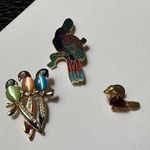 Lot Of 3 Bird Brooch Pins Enamel Parrot, Rhinestone Cardinal, Rhinestone Parrots Photo 0