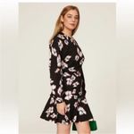 Tanya Taylor  Neomie Dress‎ Size 10 Photo 2