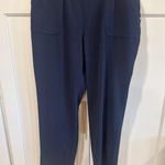 Christopher & Banks Navy Blue Cotton Spandex pull on Pants Womens Size L Photo 0