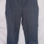 Talbots  NWT Black Chatham Slim Leg Ankle Crop Business Casual Pants size 10P Photo 0