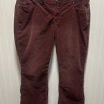Silver Jeans Silver corduroy boot cut flare Jeans Suki Surplus in Burgundy Sz 16 grunge Photo 0