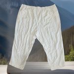 Old Navy Women’s Plus Sz 4x High-Rise Wide Leg Linen Blend Pull-On Comfort Pant Photo 5