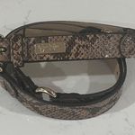 Jessica Simpson  Brown Snake Print Belt with Gold Buckle Photo 0