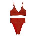 Aerie  Sparkle Banded Bikini, Sz S Photo 4