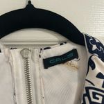 Cals  Navy Blue and White Back Cutout Flare Dress Photo 6