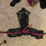 Leg Avenue Vampire Halloween Costume Women’s Size M/L Photo 7