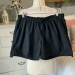 Alpine Design Athletic Shorts Alpine Black Running Womens Large Gym Running Hiking Photo 1