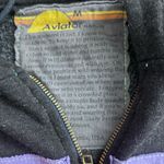 Aviator Nation X Disney Animal Kingdom 5 Stripe Charcoal Hoodie Size Medium Photo 1