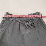 Thread & Supply Gray Paperbag Waist Tie Shorts Size Small Photo 3