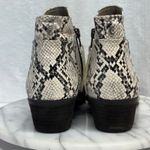 Circus by Sam Edelman Pipper Booties Women 8 Snakeskin Faux Leather Festival Photo 4
