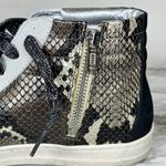 P448 John/Skate Snakeskin Print High Top Python Brown Shoe Women Size EU 38 NEW Photo 6
