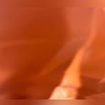 Her Universe Studio Ghibli Howl's Moving Castle Calcifer Makeup Bag Photo 7