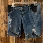 Isabel Maternity women's jean shorts size 6 Photo 1