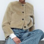 ZARA Short Faux Fur Jacket Photo 2
